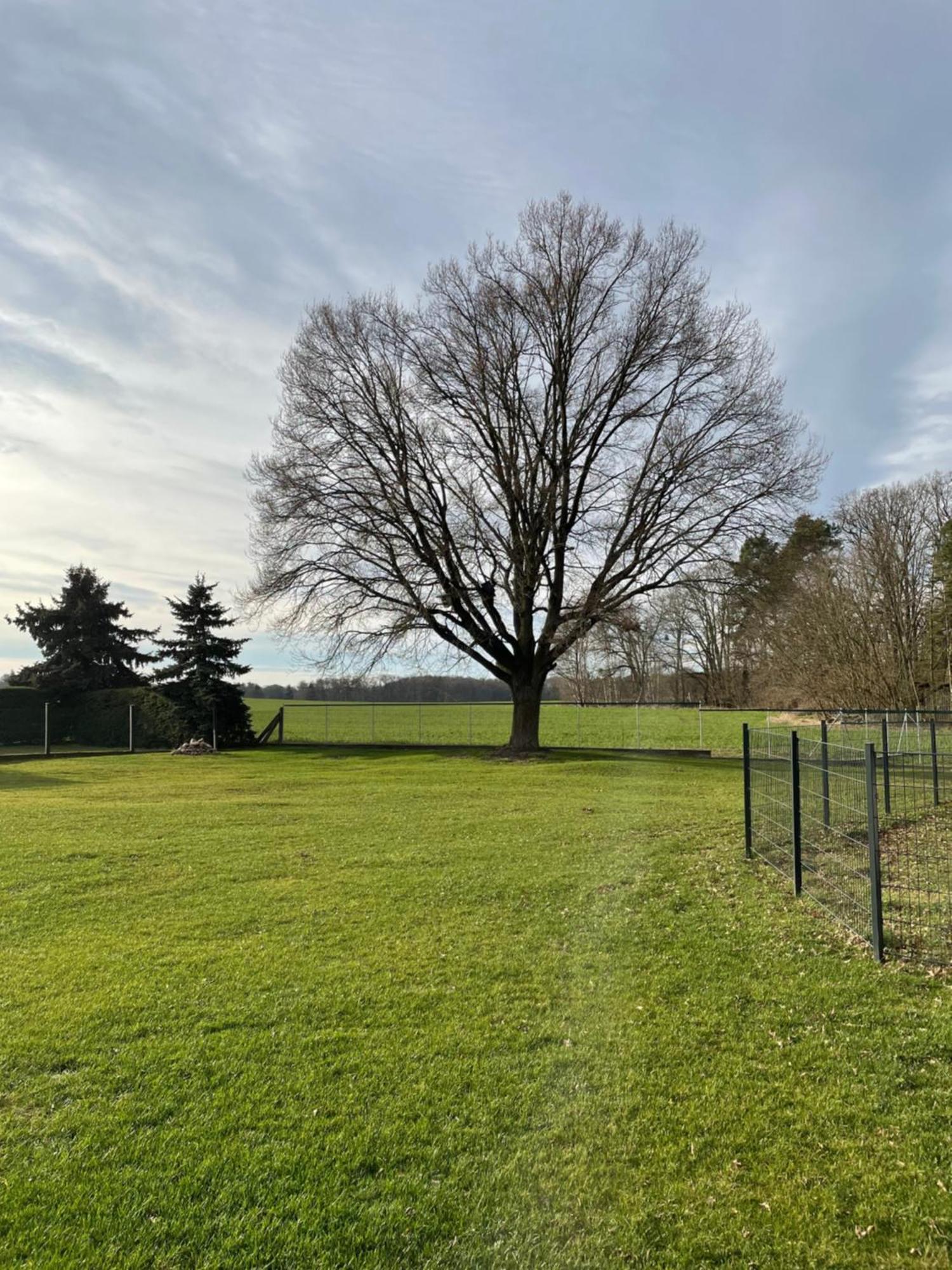 Vila Ferienhaus Naturblick Drahnsdorf Exteriér fotografie